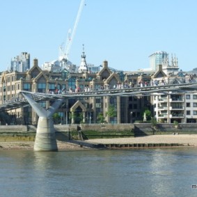 The Millennium Bridge